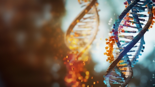 An illustration of a colorful DNA double helix