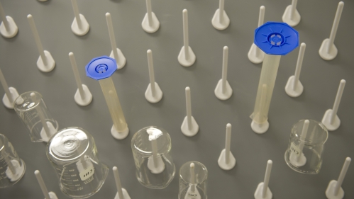 Glass bottles and beakers dry on a rack in a research lab