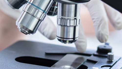An image of hands moving a slide under a microscope