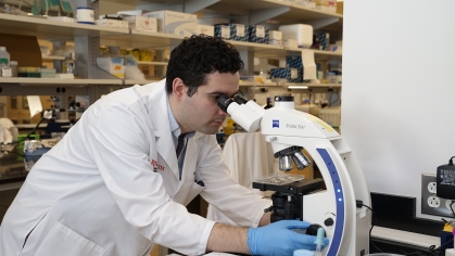 A researcher looks into a microscope in a lab
